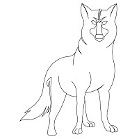 wolf single 003
